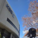 KBS홀 | 2025 LUCY 8TH CONCERT 부산 KBS홀 콘서트 실시간 후기