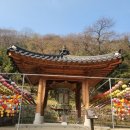 정이한 단비 및 비각 | 두륜산 품에 안긴 유네스코 세계문화유산에 등재된 [대흥사]