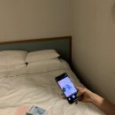 써니오