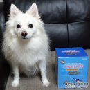 하나로덴탈 이미지