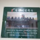 망향비빔국수 안양본점 이미지