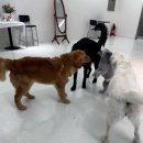 호매실온누리약국 이미지