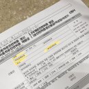 고고렌트카주 이미지