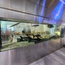 삼전우리약국 이미지