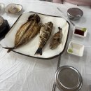 장터구이 티스토리