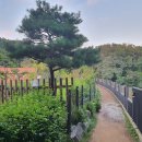 고양화전16 이미지