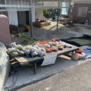 이화마을 경로당 | 경주 도리마을, 가을갬성 물씬 풍기는 은행나무에서 사진찍기😎