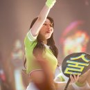술시 Daum카페