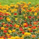 탑리농장 이미지