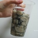 오케이냉동 이미지