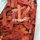 오징어파는언니 이미지