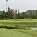 수도권골프장 솔트베이cc 야간라운드 추천