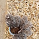 주주 농장 이미지