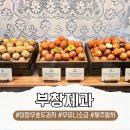 참호두 | 이장우 호두과자 부창제과 용산점 말차 우유니소금 후기