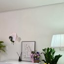 청담인플라 이미지