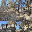 누리길 2 | 20260108. 불암산 애기봉 누리길