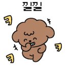 대길승마장 이미지