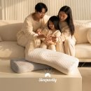웰리더
