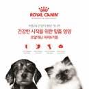 펫토이동물병원 이미지