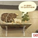 브니엘 헤어 - 성북구 | 브니엘 헤어
