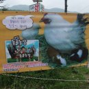 진숙목장 Daum카페