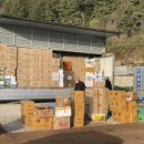 울릉이당 이미지