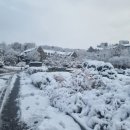 락준정신 이미지