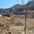 가천면사무소 앞 이미지