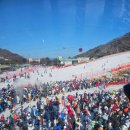 비발디의아침 이미지