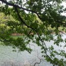 오어사 종점 이미지