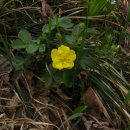 태백산가는길 이미지