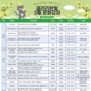 요가교실 오전반 이미지