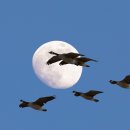 영가초교 이미지