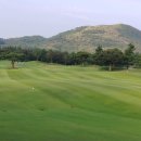 캐슬렉스CC 이미지