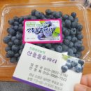 산들블루베리푸드
