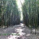 금마면-02 이미지