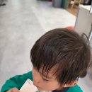 1시간만 놀다가 | 판교 실내 아이랑 놀기 끝판왕 1시간에 육퇴 성공한 째깍섬 바운스 후기