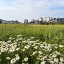 공주 관광호텔 INK(잉크) 이미지