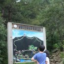 봉황자연휴양림 이미지