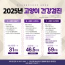 동대문 루시드 동물메디컬센터 이미지