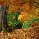 벽진초등학교 이미지