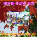큐브84 이미지