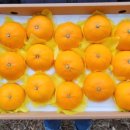 마소물로8번길 이미지