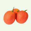 비타민천국 이미지