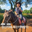 더불어 목장 | 성산카페 목장카페밭디 아이랑 제주승마체험, 먹이주기체험