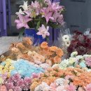 렌즈미동성로점 | 오랜만에 만난 빙구들과 꽃밭뇌 되어버리기🌿