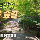 202607 정릉 숲길 이미지