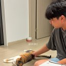 자연-탄생 | [출산] 산본제일병원 자연분만 후기, 추석 당일 달콩이 탄생