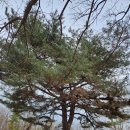 복두산성 이미지