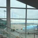 486 | [태교여행] 인천-푸꾸옥 직항 대한항공 KE485 KE486 프레스티지석 후기/기내식/어메니티